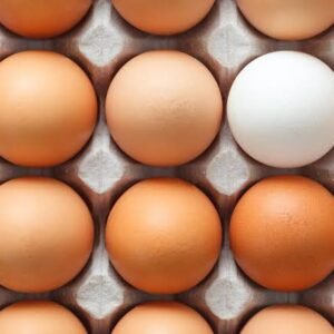 Farm Fresh Eggs – 12 Eggs